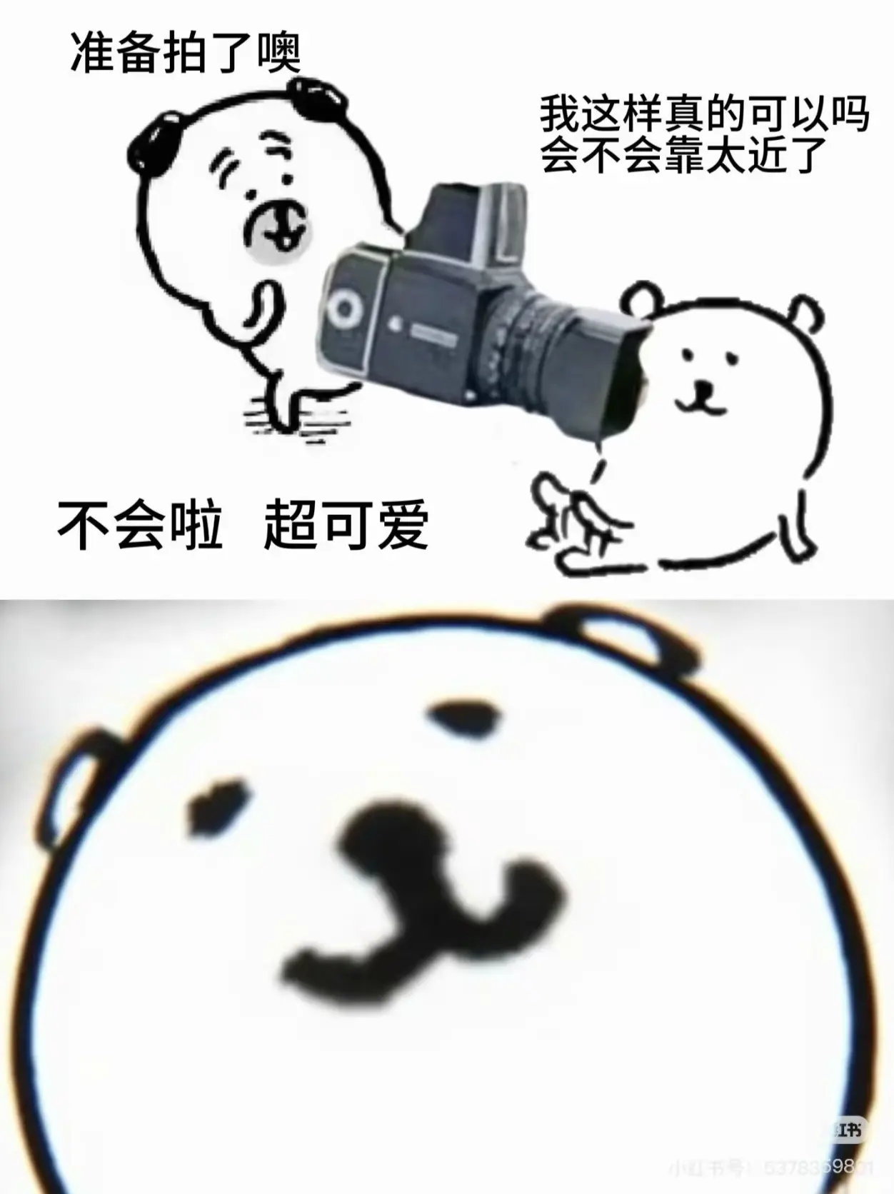 第一次拍时还疑惑生疏 后面唯手熟尔。