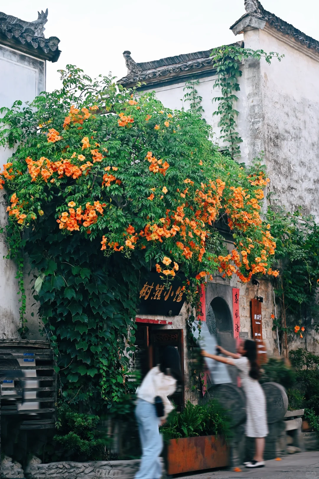 皖南必游❤️西递vs宏村，一日游怎么选？