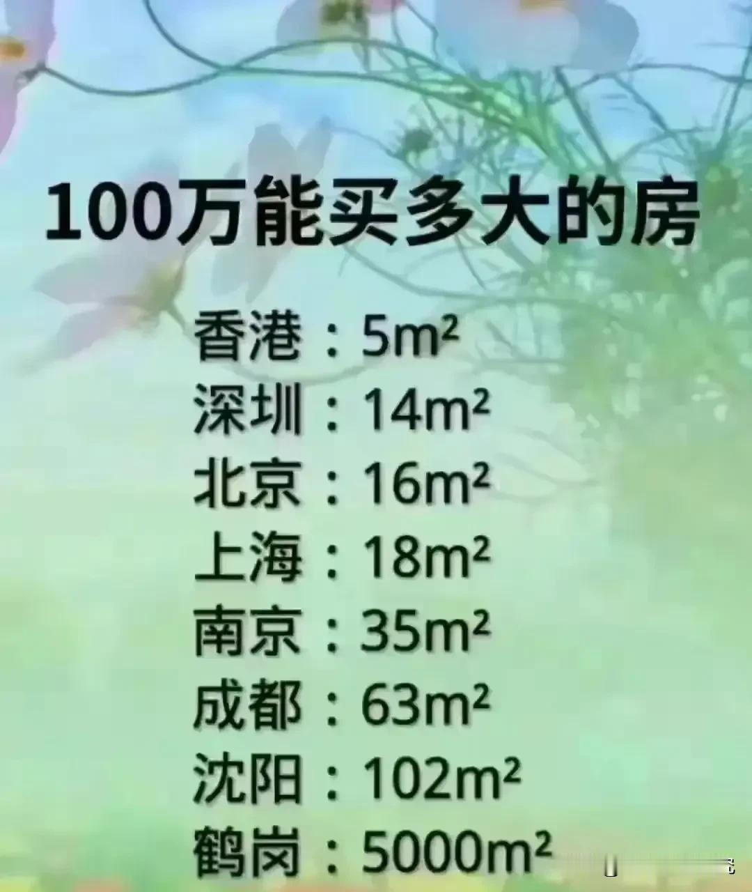 100万元人民币在各城市能够买多大面积房子呢，如果在香港的话100万元人民币能够