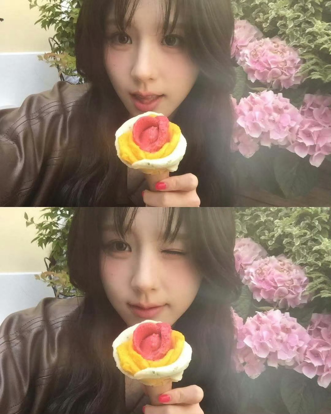 田姬振🐰🍹🍰 ​​​