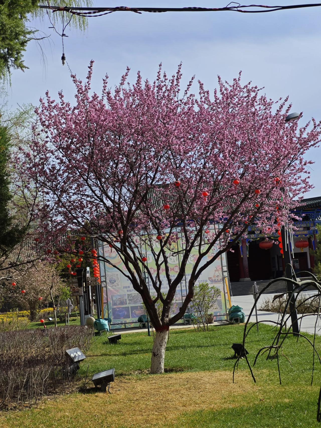 日出东方烈焰升  横批： 势破长空