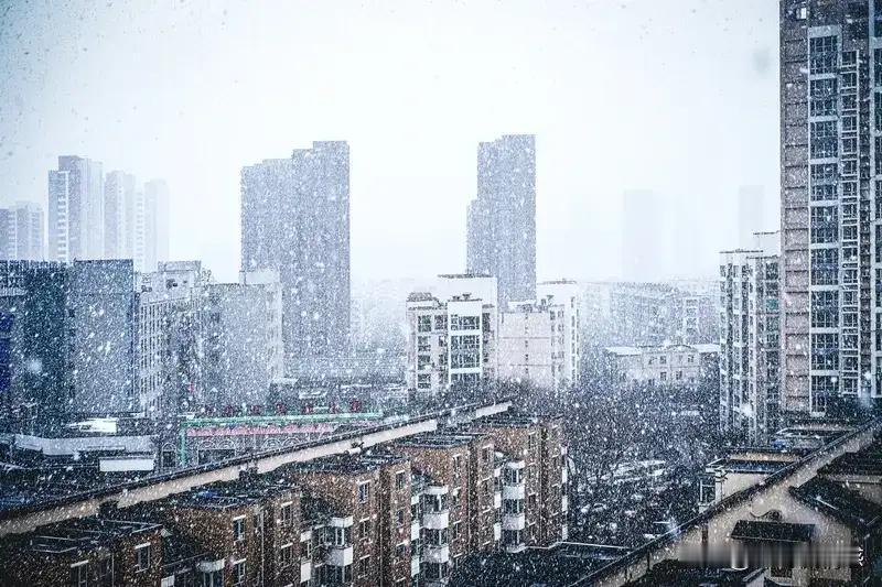 雪中同行，共谱健康华章

别忘了，携手走过的每一步，皆是未来白首的伏笔。瞧那纷纷