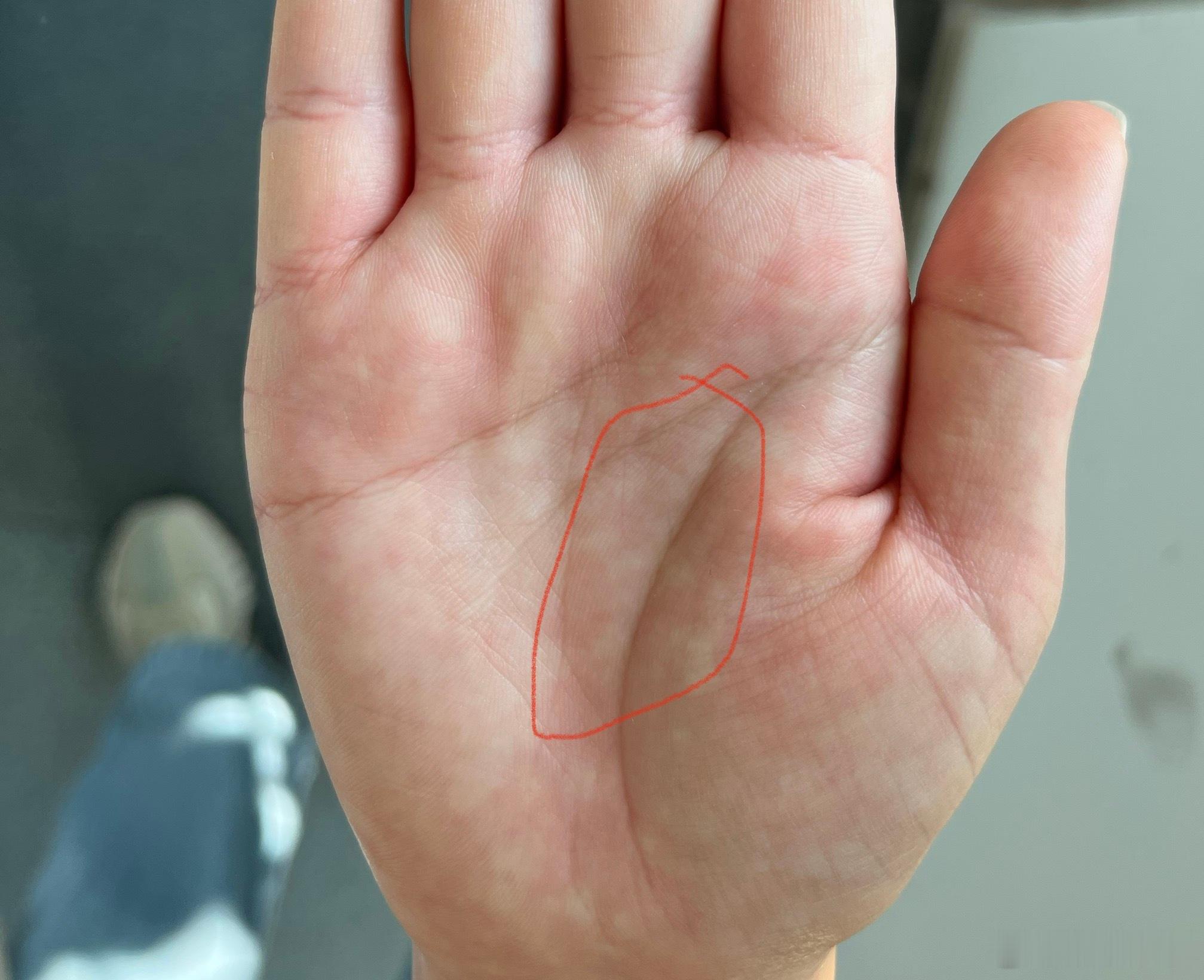 看个手相：女生，艮宫位特别厚实饱满，生命线比智慧线、事业线都要深很多，手心里有财