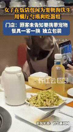哎呀妈呀老铁们，这事儿也太离谱了吧！简直给我看傻眼了！
在饭店给狗过生日，抱椅子