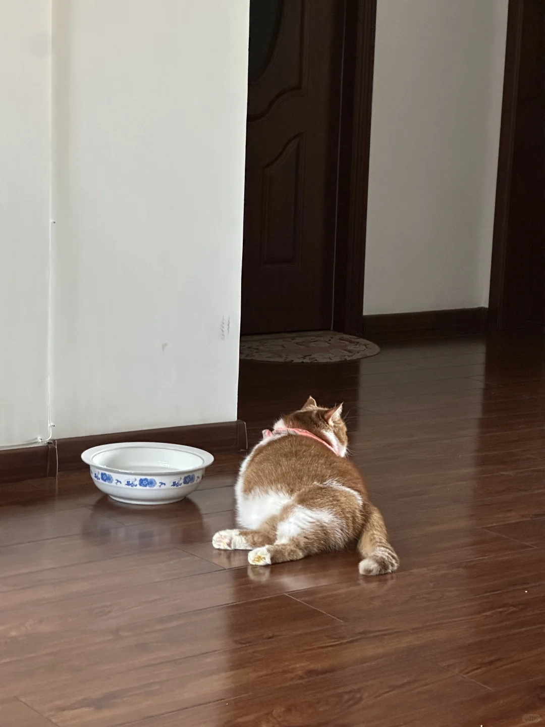 good猫拧