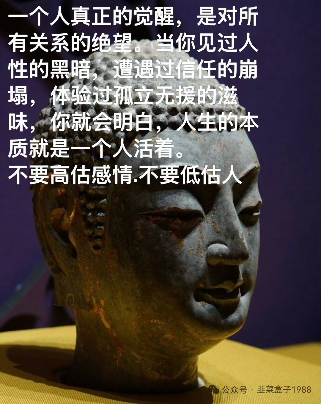 今日金句      生活手记 ​​​