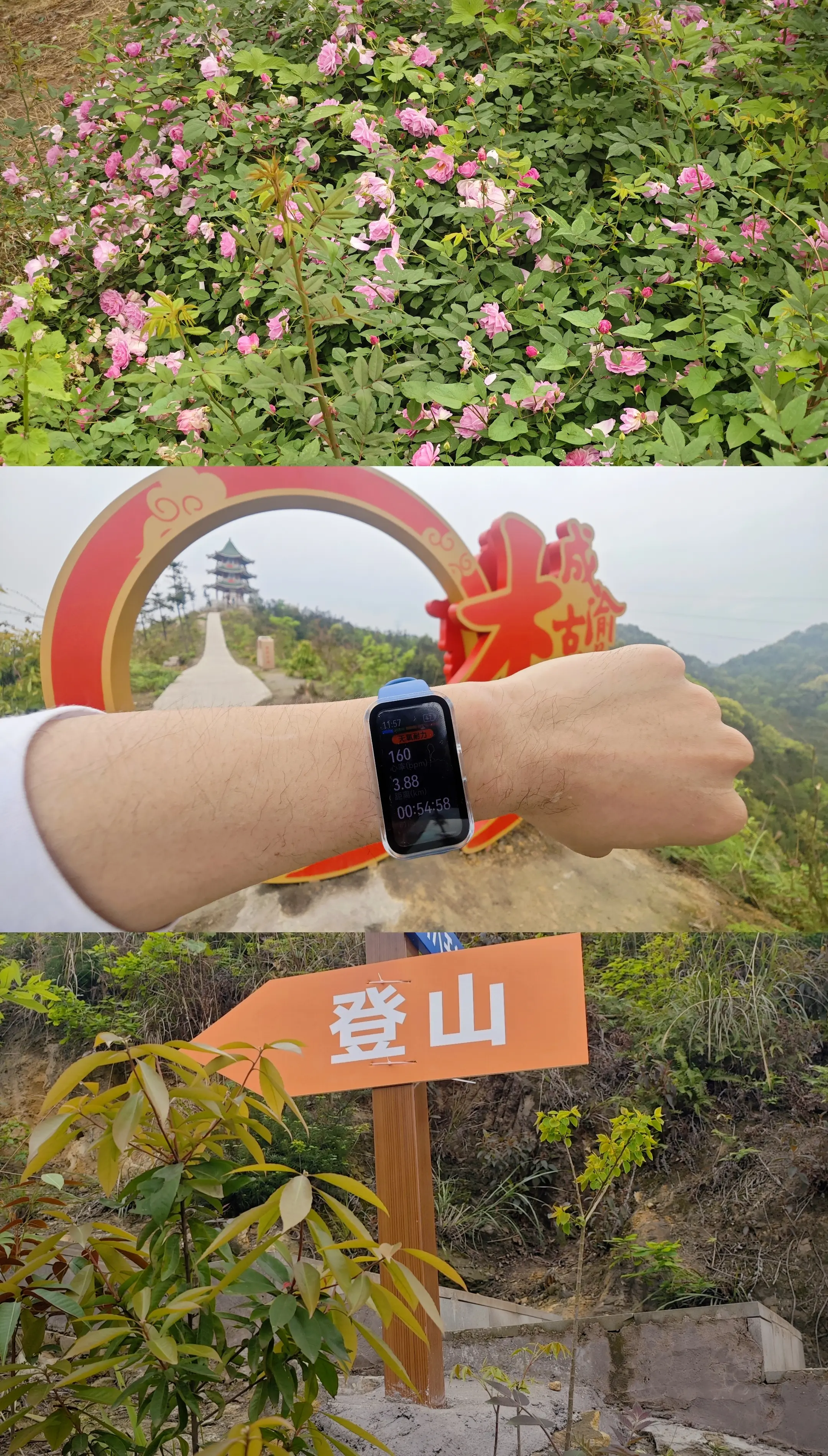 须知少时凌云志，曾许人间第一流