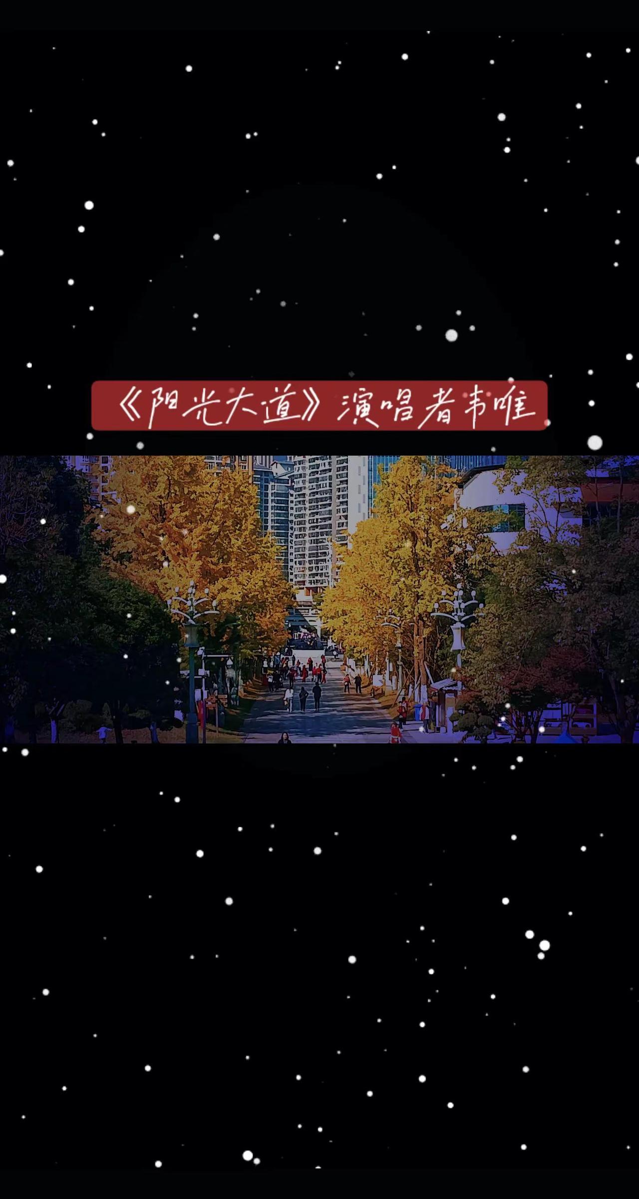 重温经典歌曲 朋友们一起欣赏这首歌（阳光大道）