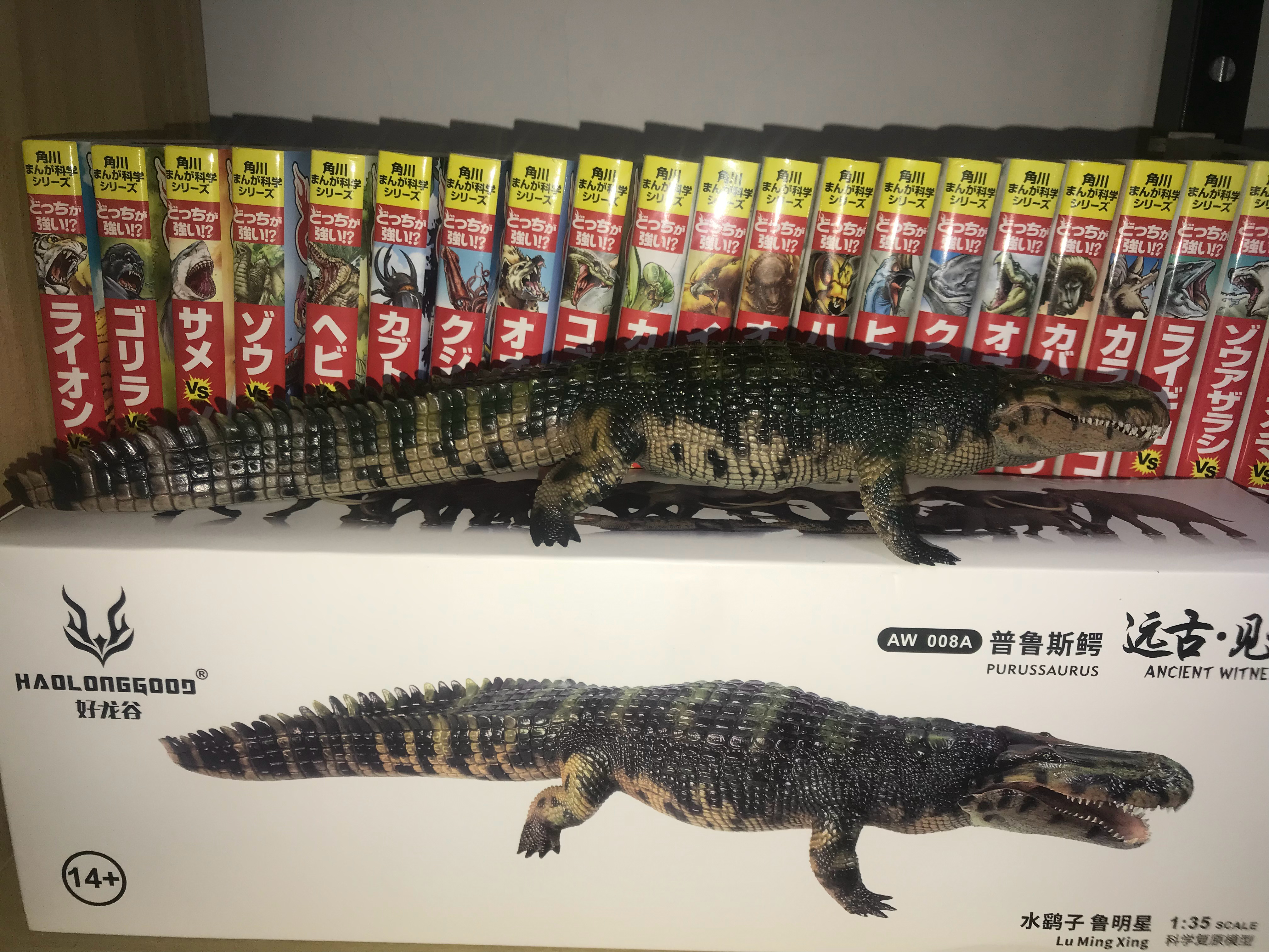 新入手的的普鲁斯鳄模型，我收集过的鳄鱼模型要多不少，也有不少古鳄的，包括恐鳄还有