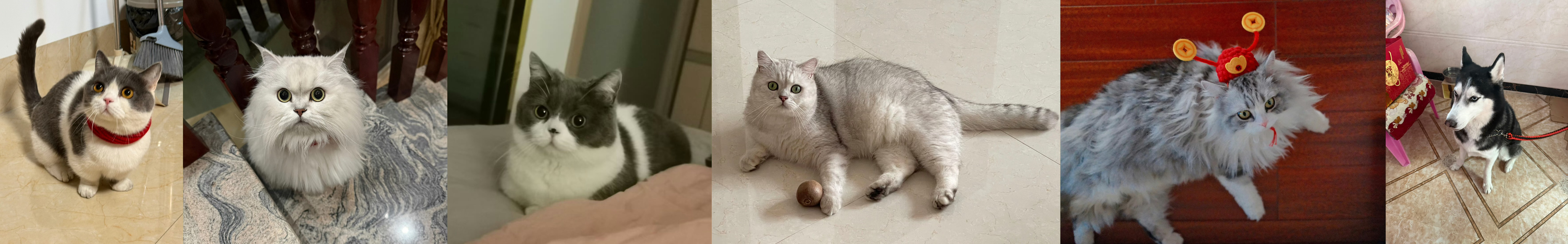 好热闹 
