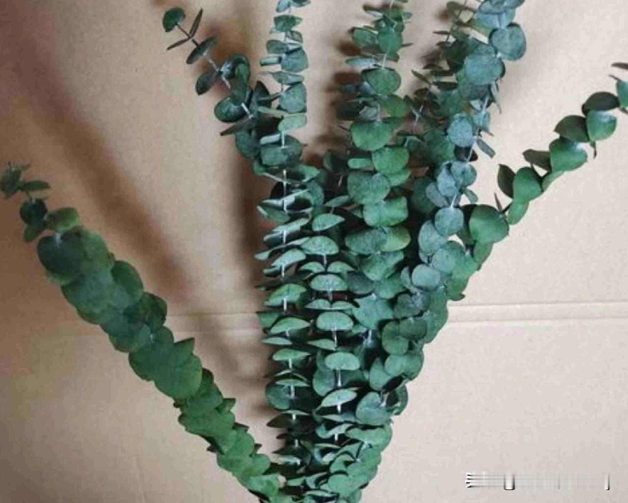 农民赚钱不容易，但凡搞点投资，还是到当地政府部门咨询一下，是否合规？让自己的投资