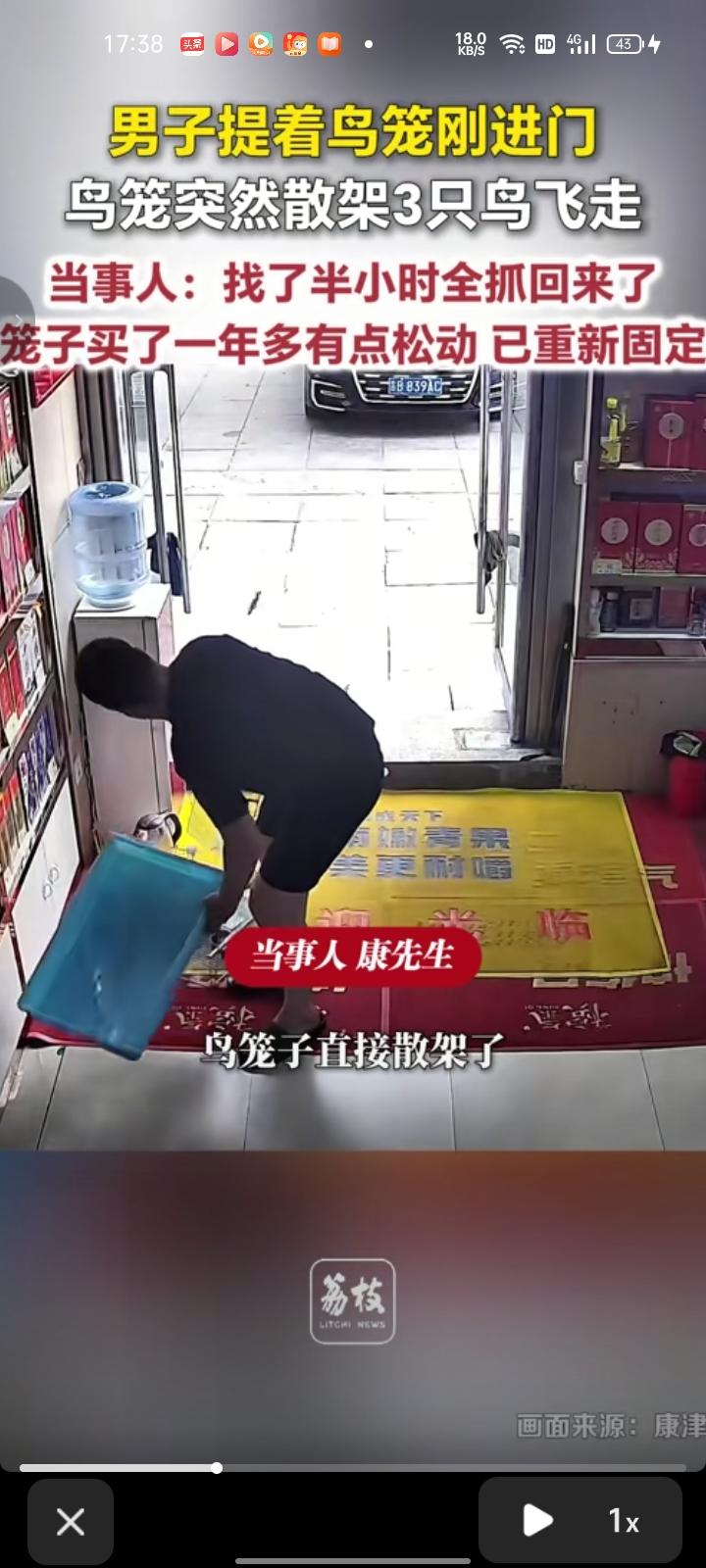 6月25日，吉林省吉林市。外面下雨，男子提着鸟笼刚进门，不料鸟笼直接散架，其中三