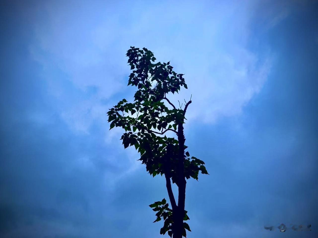 乌云的命运
        （原创）


看着翻滚的乌云
突然觉得
它也不是自由