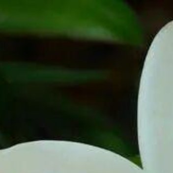 正能量[超话]正能量 最慢的步伐不是跬步，而是徘徊；最快的脚步不是冲刺，而是坚持