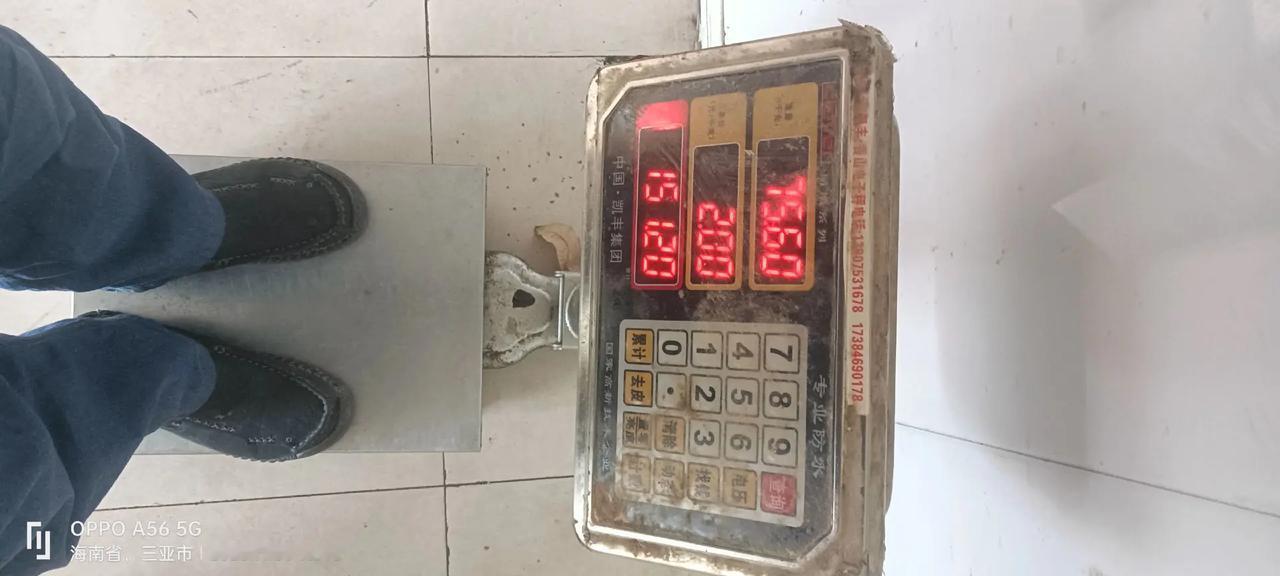 吃喝玩乐分享计划