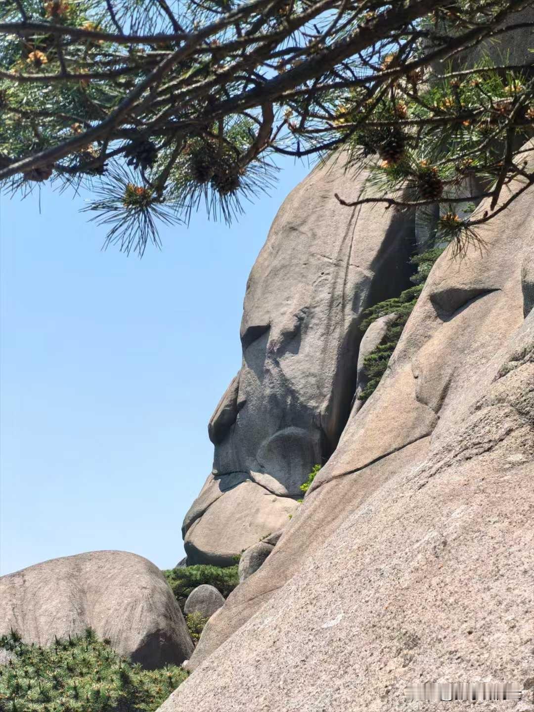 人生就像一场永无止境的马拉松，每个人都在与自己赛跑。真正的胜利不在于超越他人，而