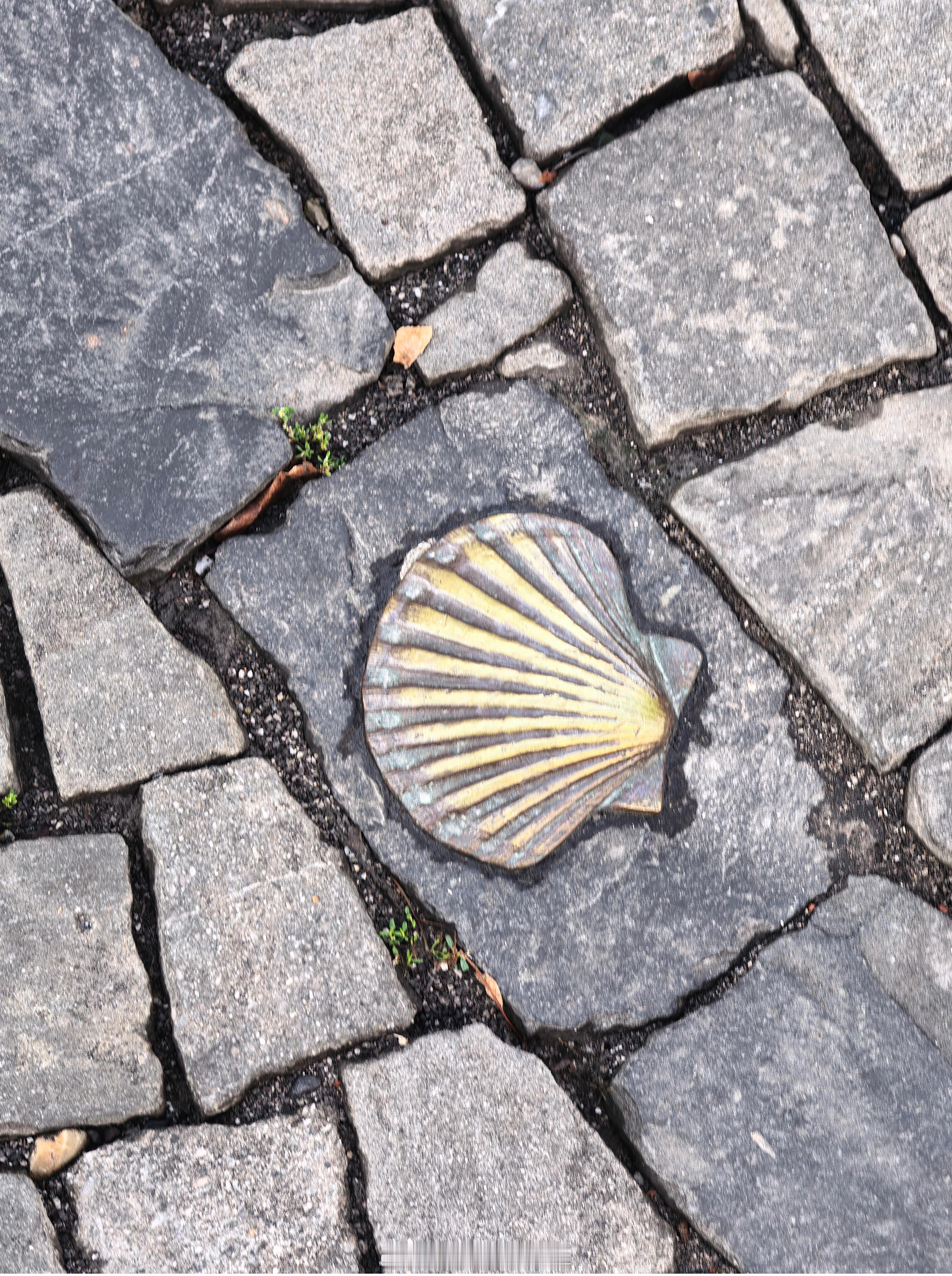所有道路，终会归于一处。Camino de Santiago，圣地亚哥朝圣之路。
