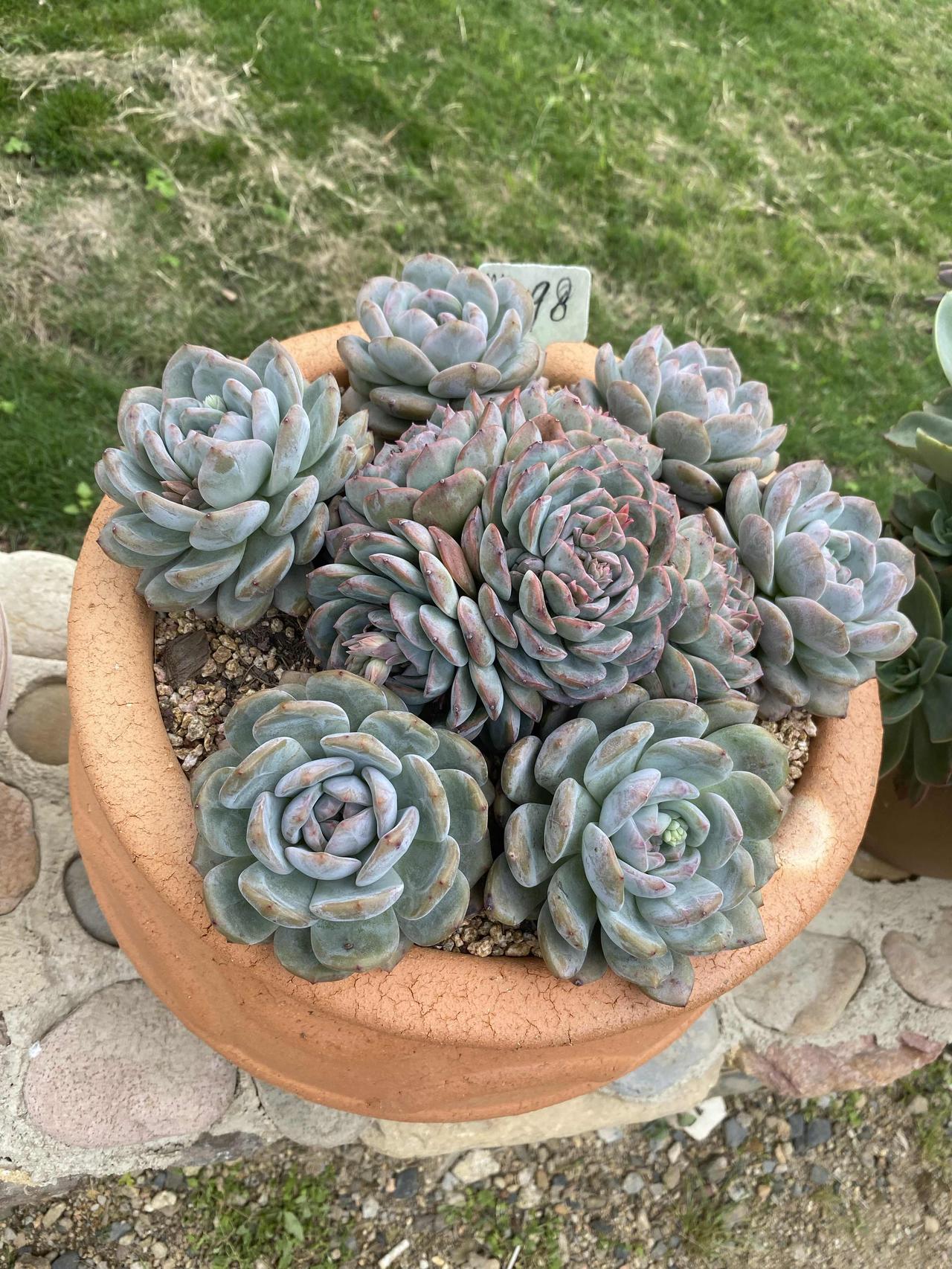 藏在近郊的小众小镇！果香花海治愈满分，周末短途游首选

厌倦了城市的喧嚣，周末抽