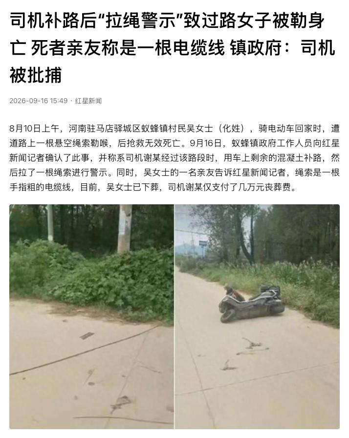 “好心办坏事！”河南驻马店，一名司机路过村道时，看见路上有个坑，想着车里还剩些混