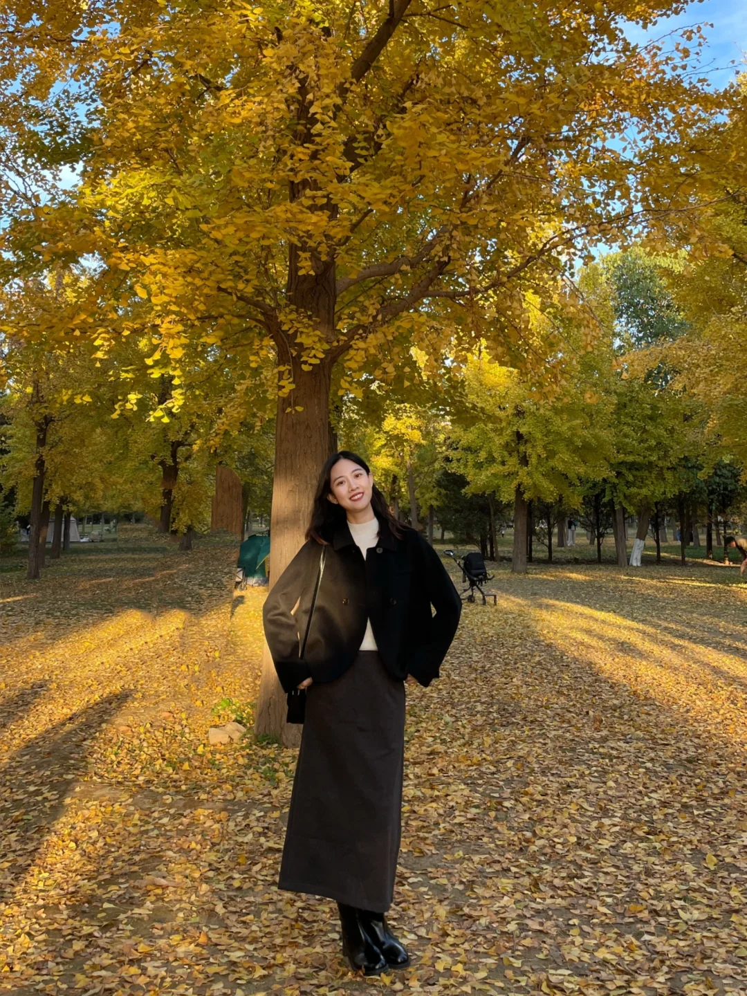 北平之秋🍂