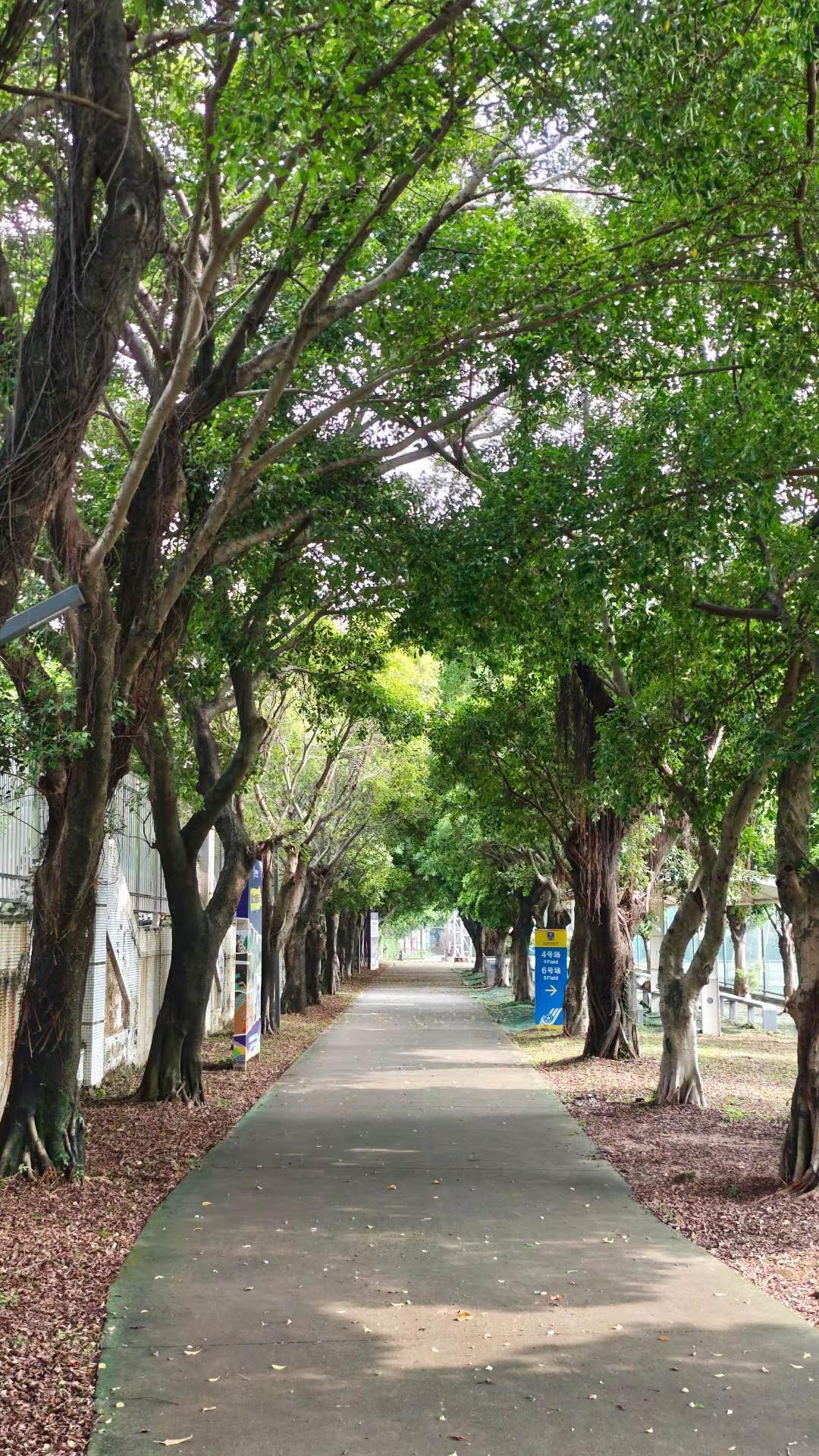 市桥人饭后免费根据地！！适合跑步散步健走就在番禺博物馆隔壁的【木生缘足球俱乐部】