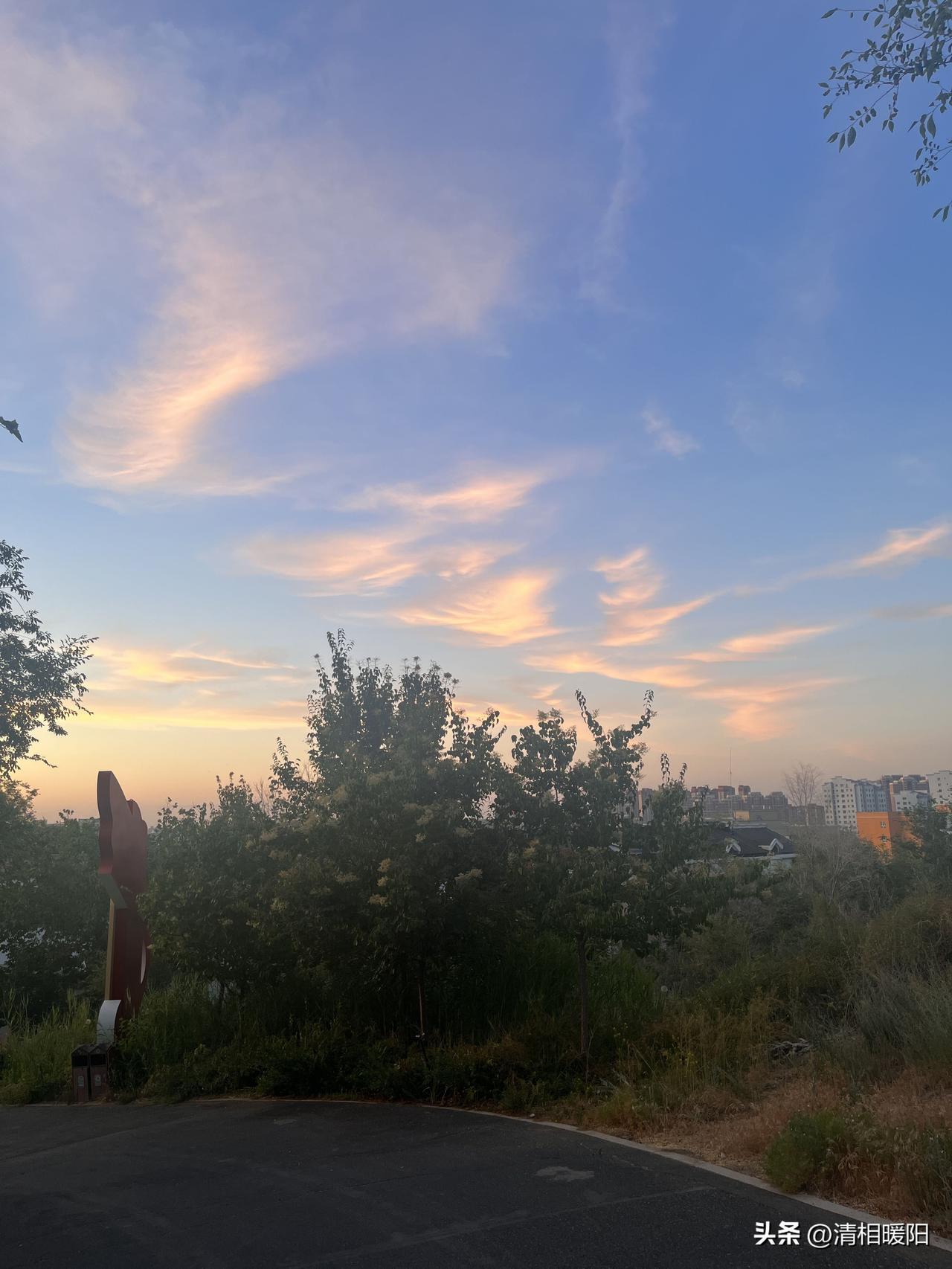 喜欢夏天，虽然天气太热，也不影响我喜欢这个五彩斑斓的季节，入眼的满眼绿色，让这个