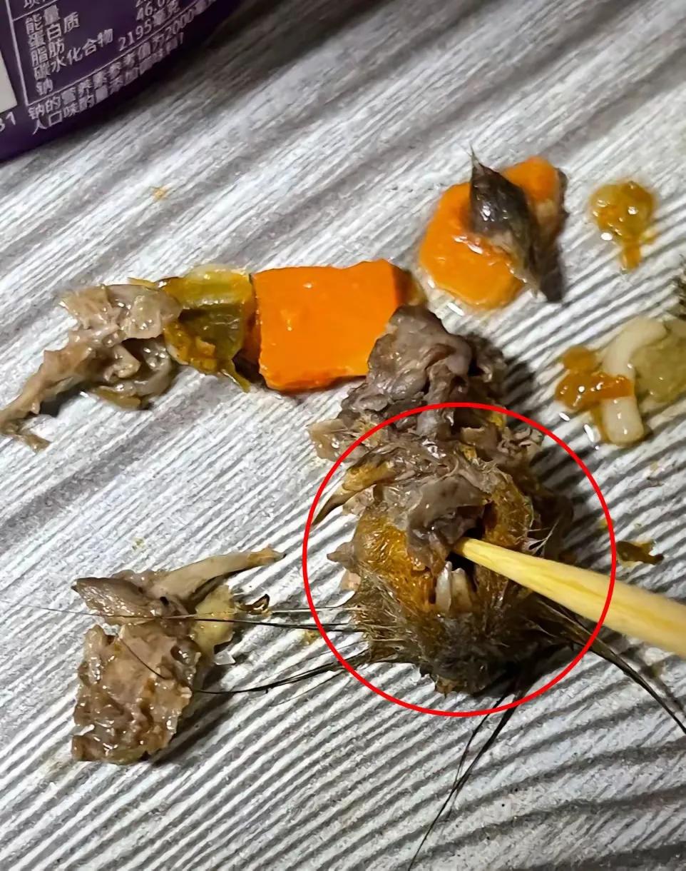 杭州男子泡面吃出老鼠头，真相只有两个。

一、正常情况下的泡面，调料包都是放在面