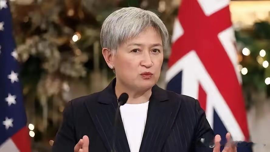 针对中国的导弹试射，澳大利亚的黄英贤又出来“狺狺”作态了，说什么此举破坏了太平洋