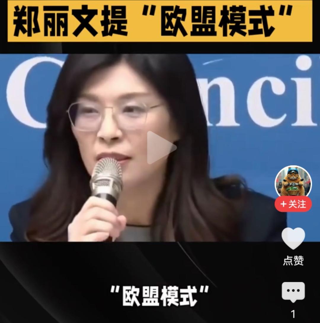 回忆一下郑丽文从选举至今的二岸不当言论！
 
一、欧盟模式，2025.10起反复