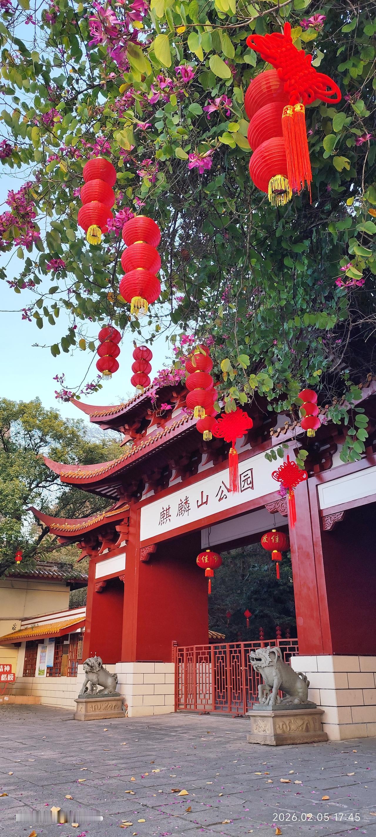 美丽三明麒麟山公园