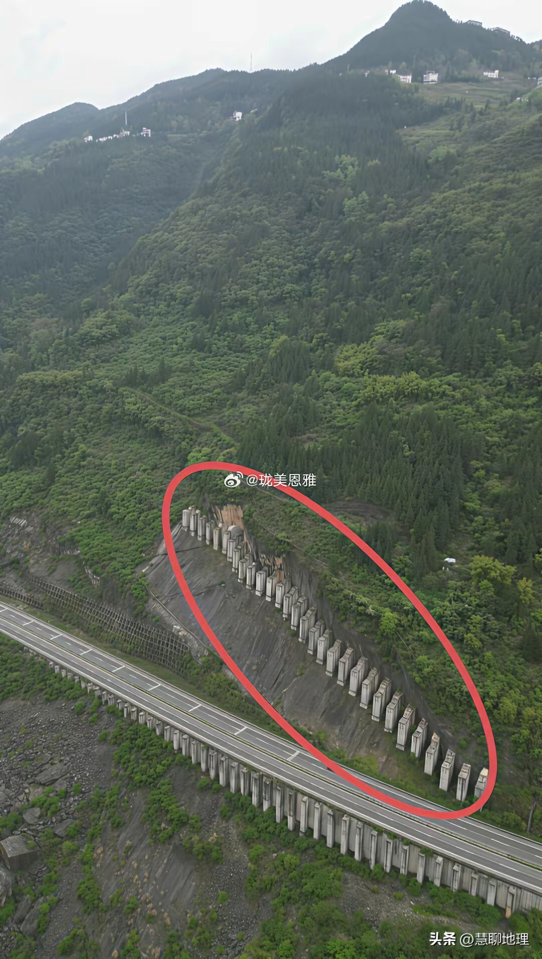 这个桩是做什么用的？大家来评论区说说