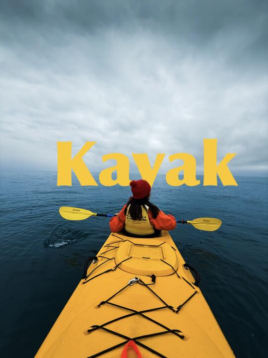 新西兰｜海狮踢了我皮划艇🚣‍♀️人生照片+1️⃣