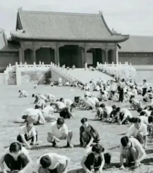 1949年，故宫西墙根的垃圾堆得比城墙还高。清朝覆灭后40年没人打理，这座72万
