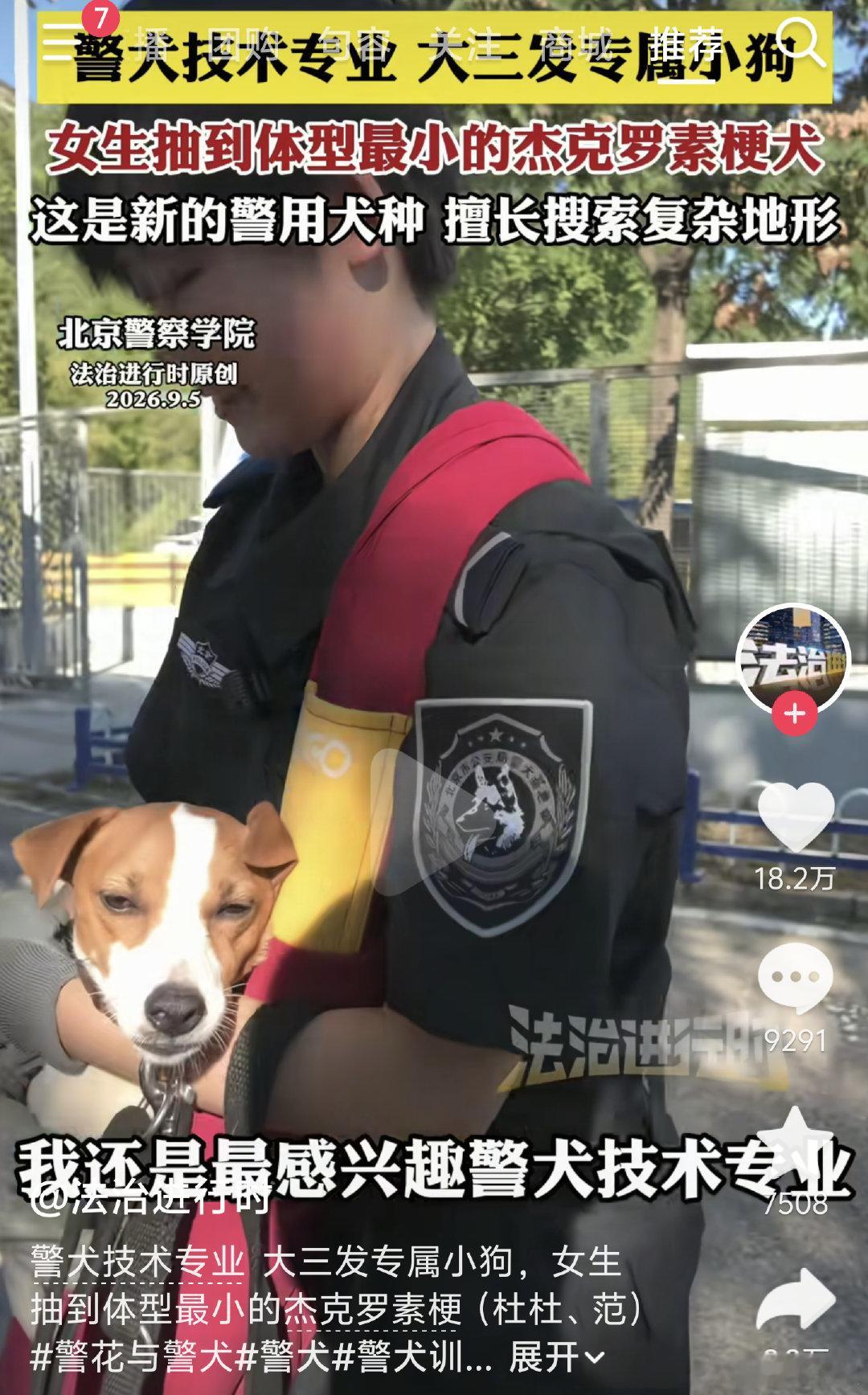 这个专业好啊啊啊啊，进去每人发一只狗੯‧̀͡⬮\ ​​​