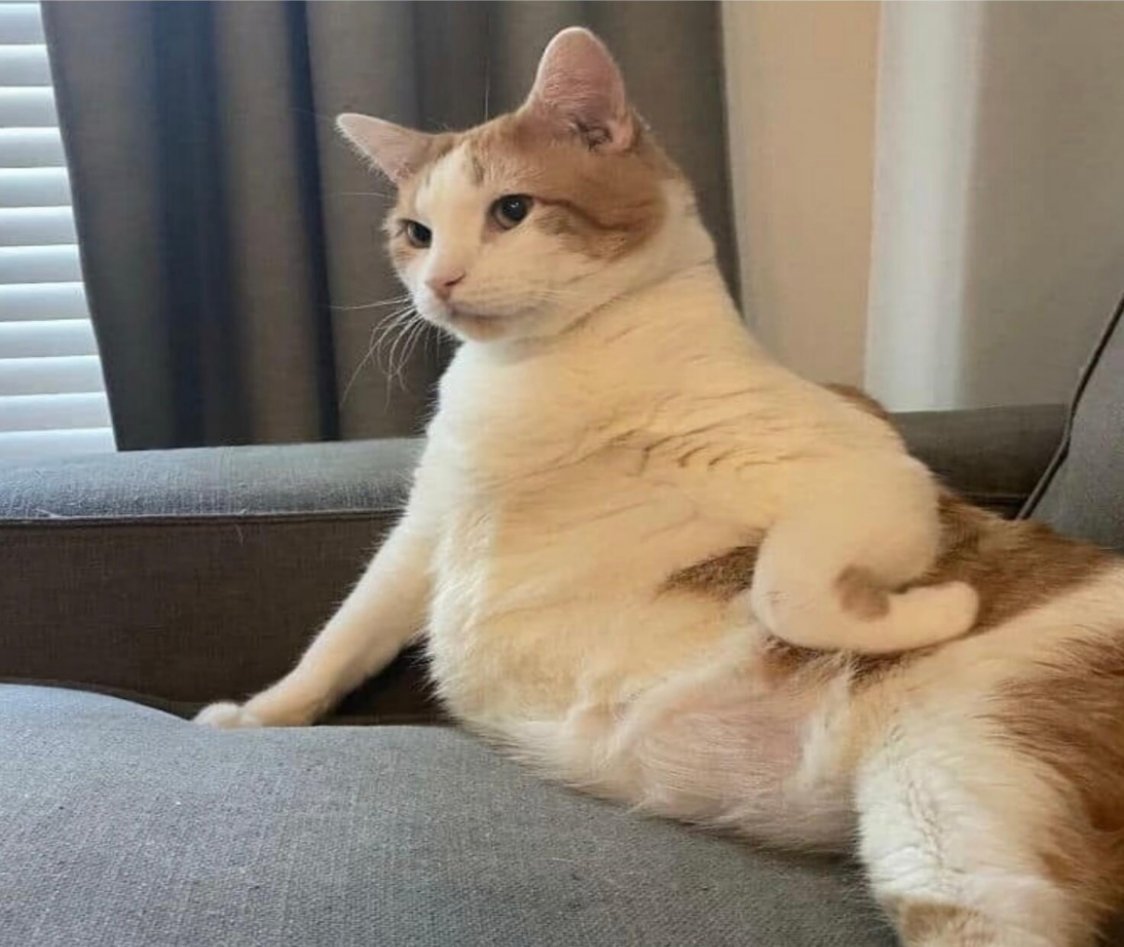 不知道 我的身材很曼妙 