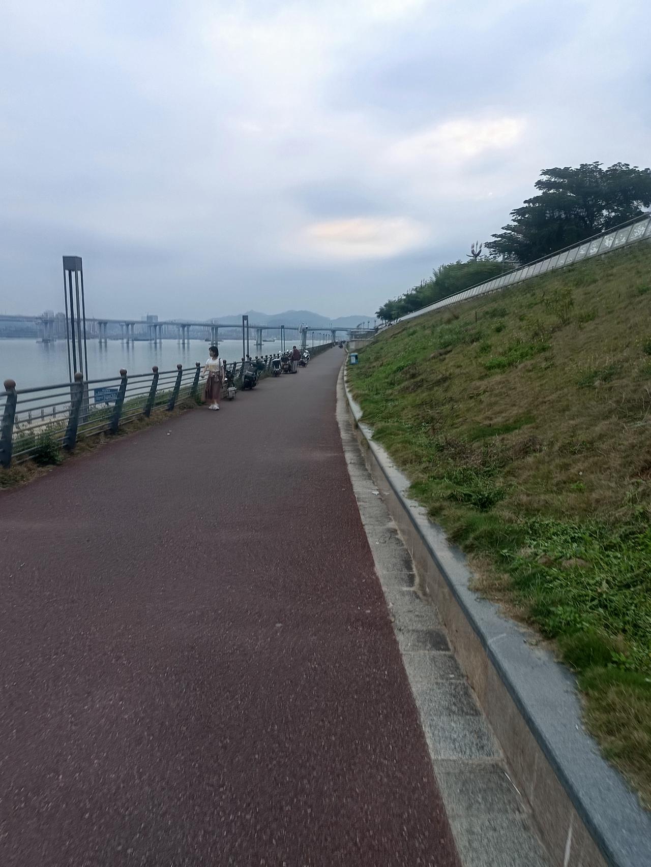 我终于知道
为什么肇庆西江风景这么好
却依然没什么人来



你敢相信吗？这里就