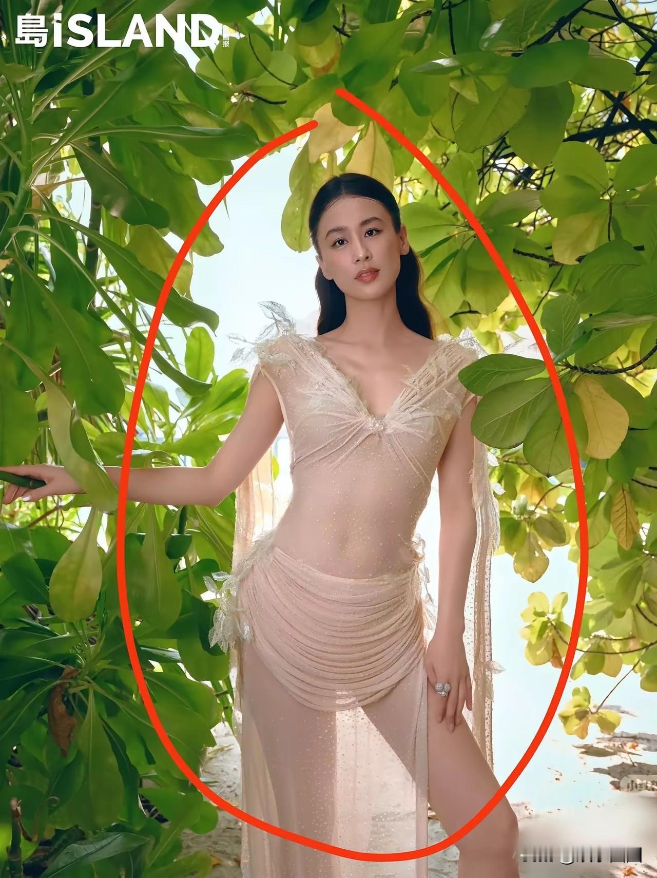 黄圣依还是算有遗漏
以为参加个综艺
把自己弄成受害者
然后再离婚

确实，火了一