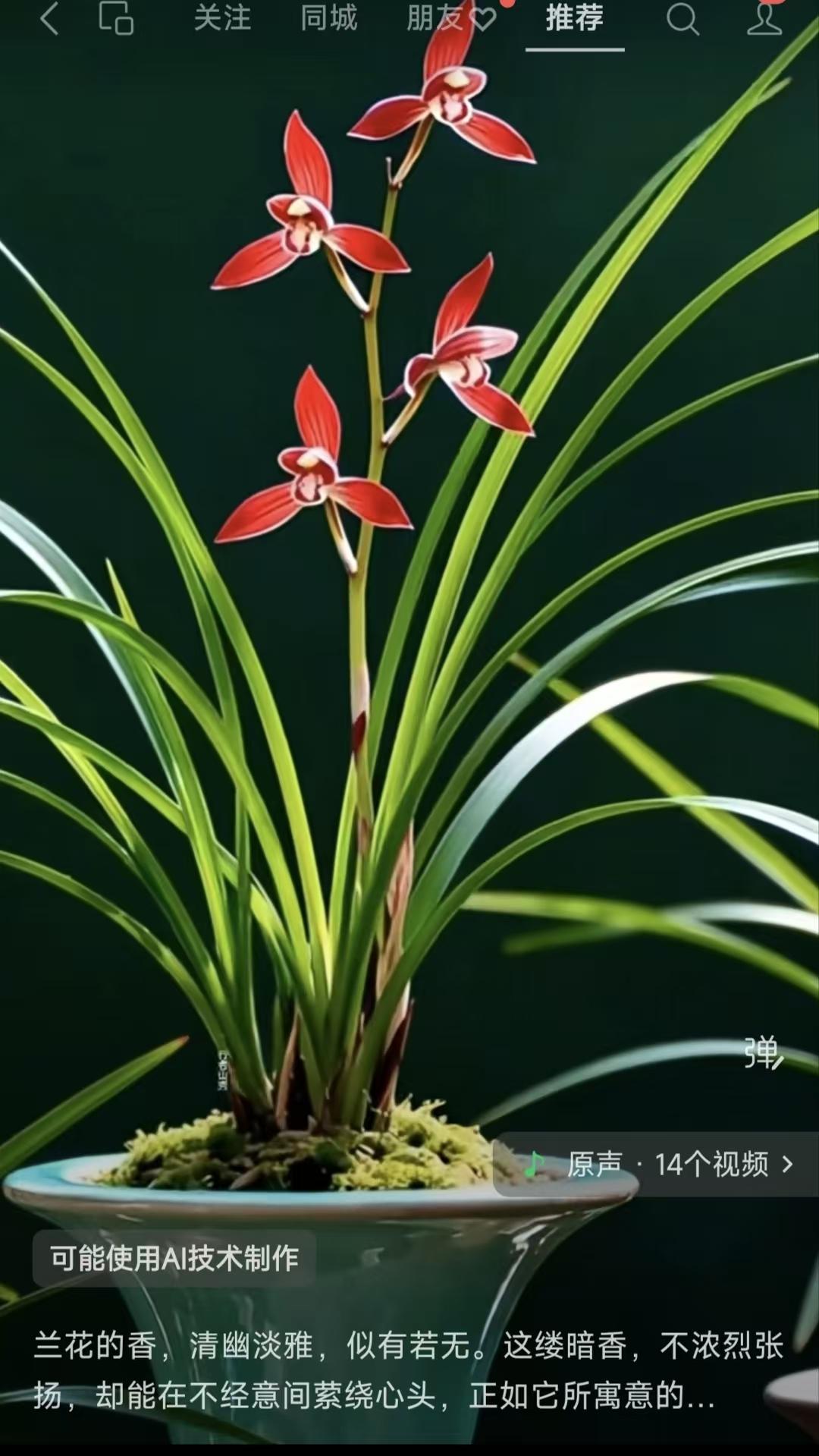 天净沙·咏兰
幽香淡雅清嘉，
轻萦不竞繁华。
暗绕心尖似画。
情深藏罢，
兰心不