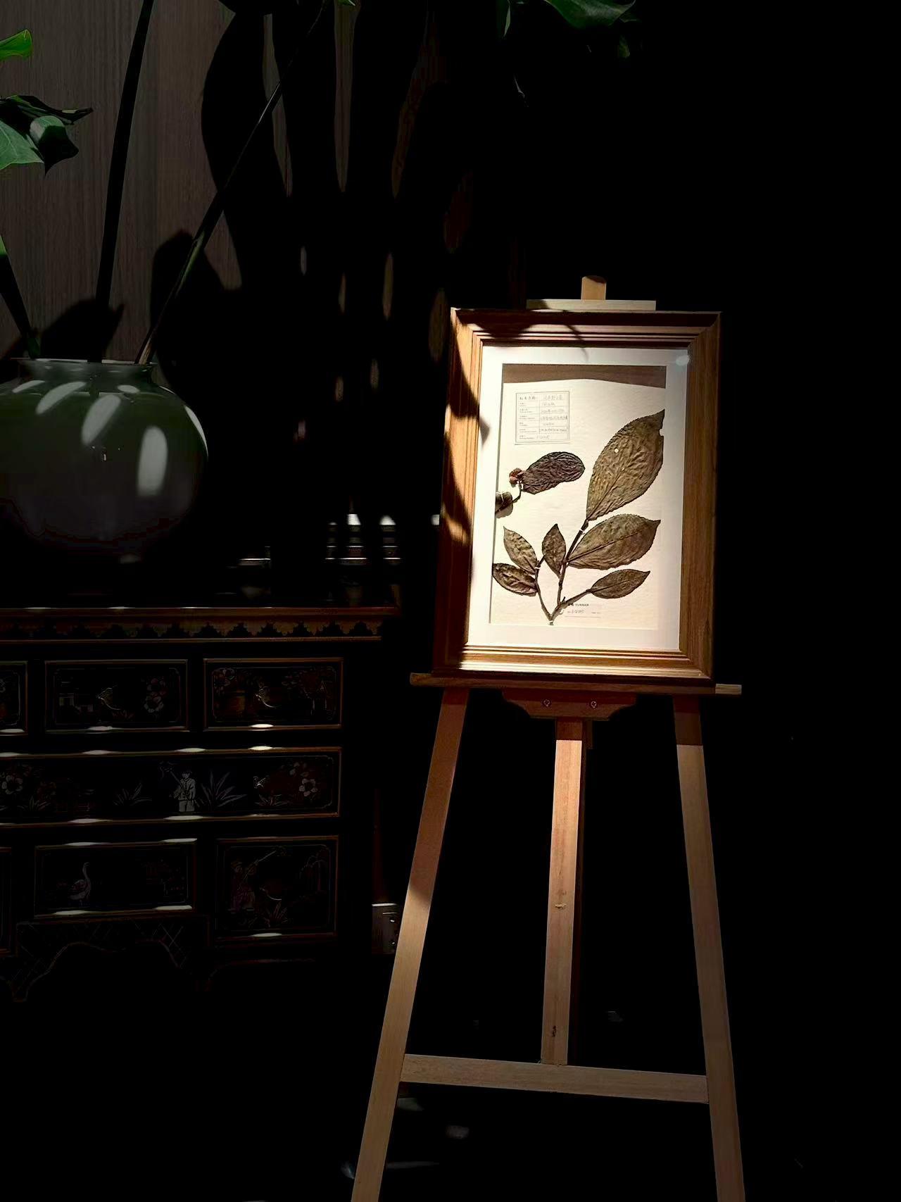 为什么穷人容易小气?在我的眼里，穷人是比较大方的，他们大多数都是善良的人，有同情