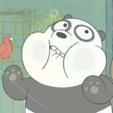 小鲤鲤爱逛科技
