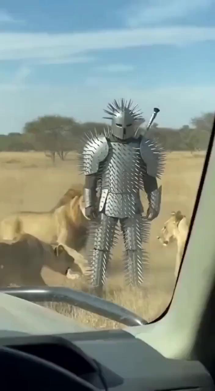 这波操作都看傻了。