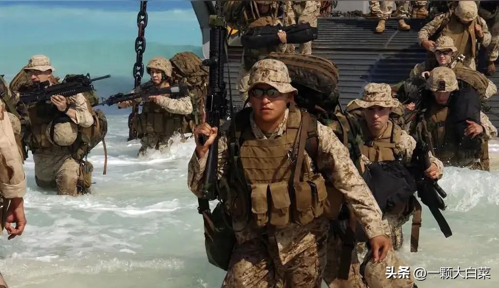 俄罗斯决定从伊朗布什尔核电站撤离，意味着美以即将展开地面战？

根据央视新闻的报