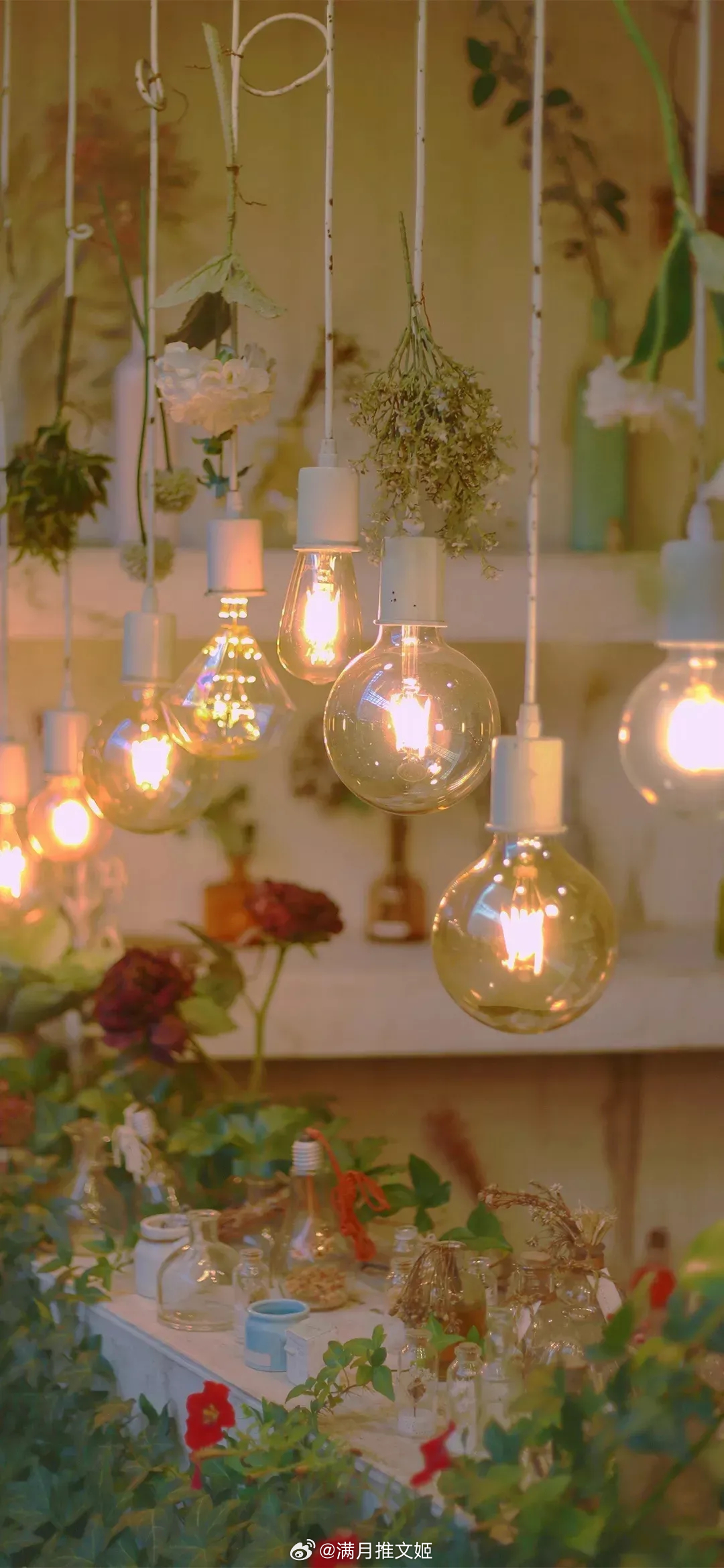 太阳未出时，全世界都像一个梦，唯有月亮是真实的；太阳出来后，全世界都真实了，唯有