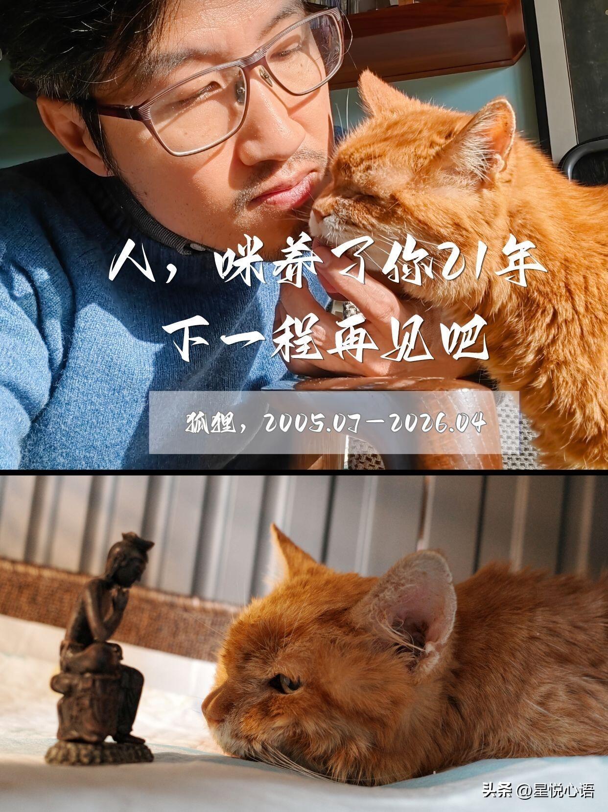 “咪陪了你21年，我们胡子都白了，该走了”。
简简单单几个字，看得人鼻子发酸。