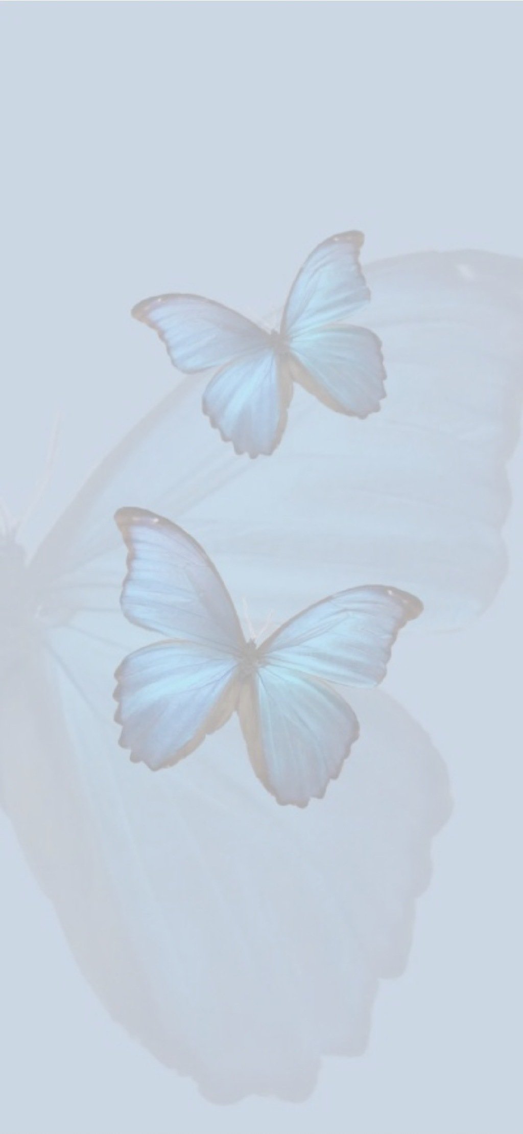 送你一句话：别贪心，你不可能什么都有；别灰心，你不可能什么都没有。 