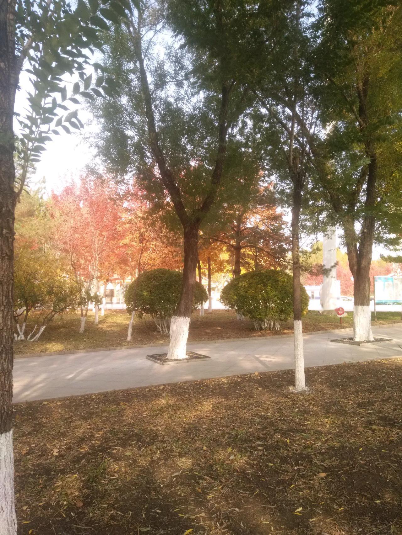 #拍一张你所在城市最美的景色#