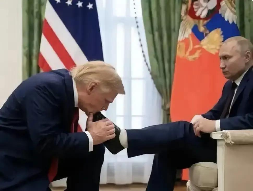 普京都发话了，要是2022年2月总统是川普，俄乌战争大概率不会发生。普京明确表示