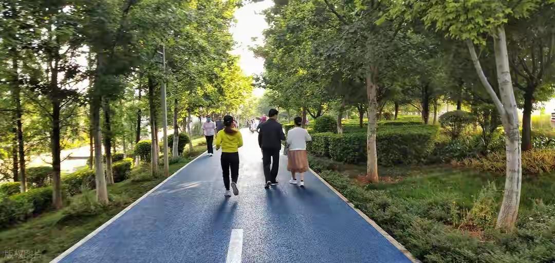 医生说洋葱是能吃的心脏支架原来洋葱还有“能吃的心脏支架”这样的美称，日常常见的食