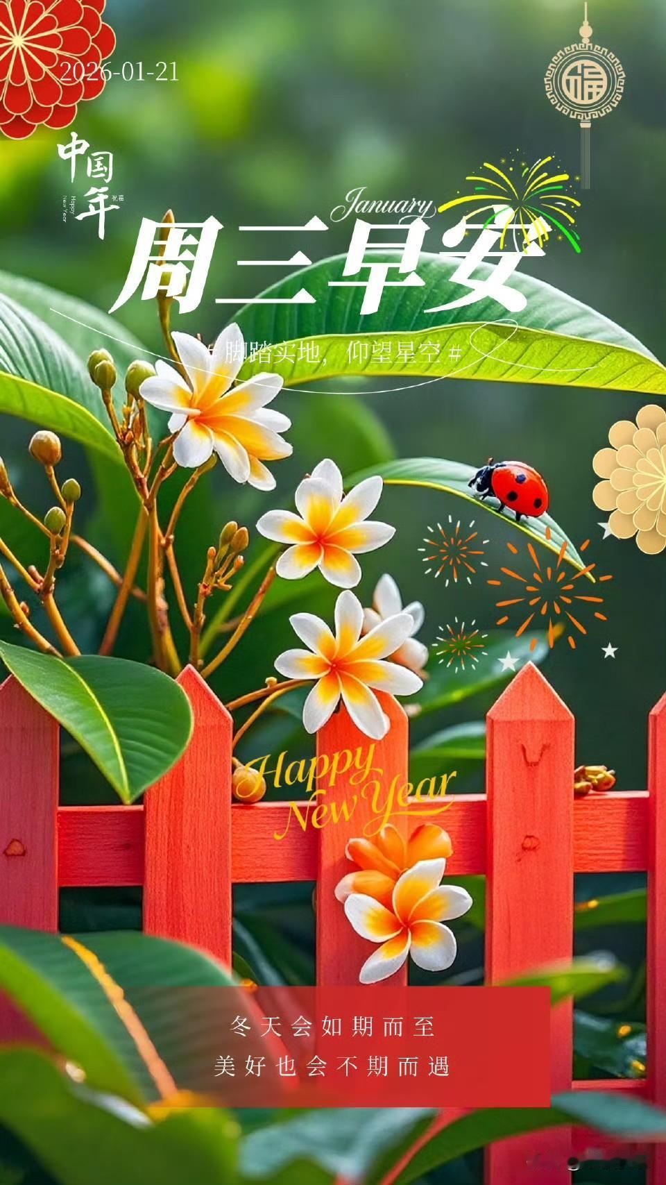 2026.01.21
周三，好运