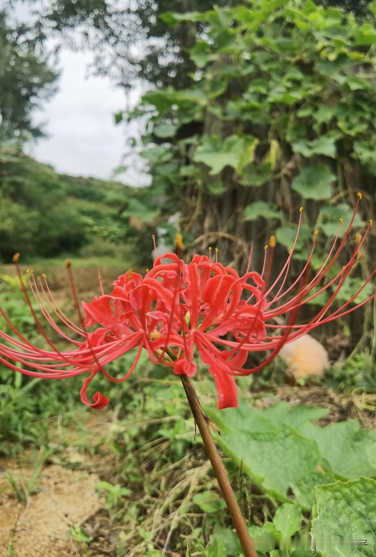 大家有没有发现，做投资之所以特别痛苦，
根本不是市场有多难，
而是你非要天天盯着